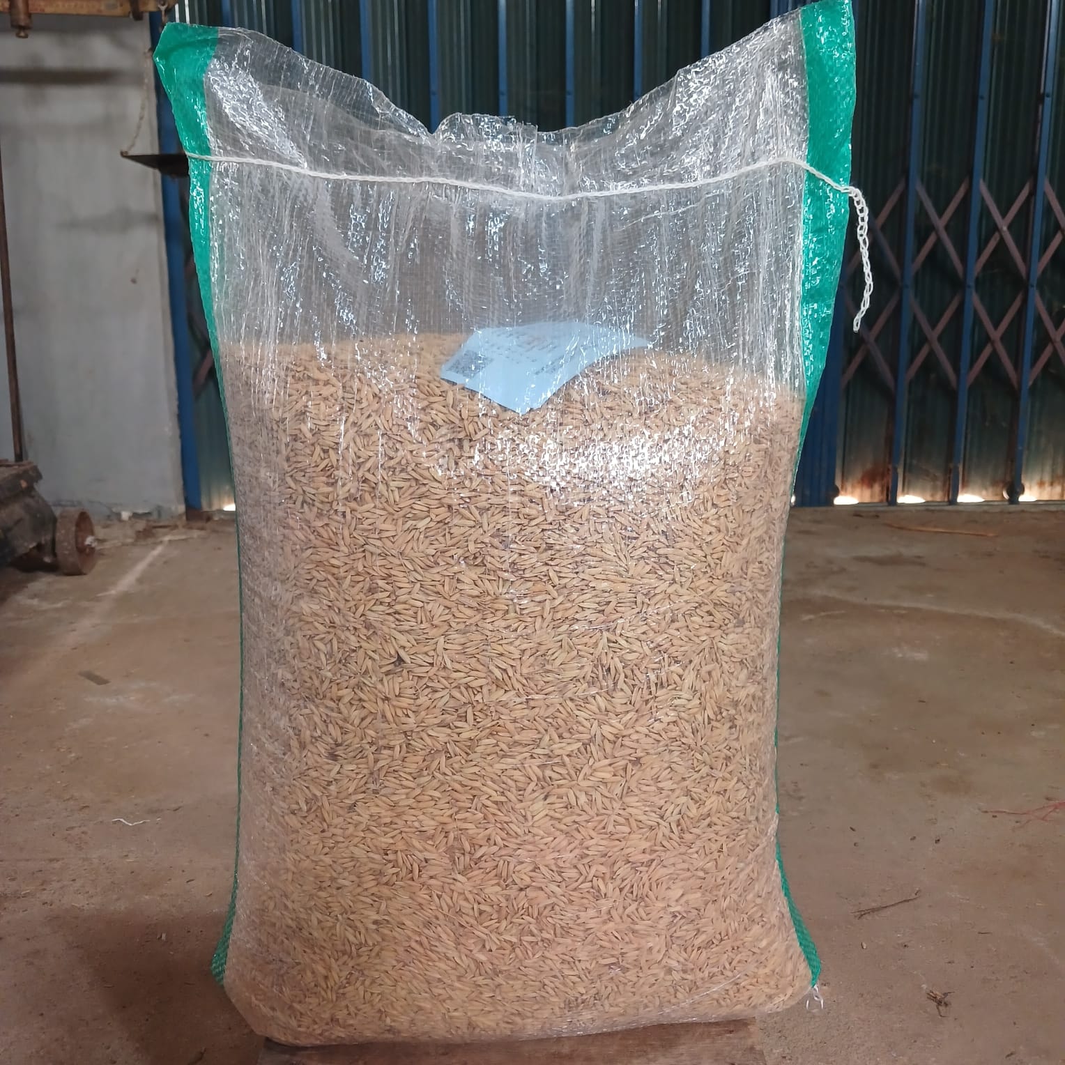 benih padi kemasan 10 kg