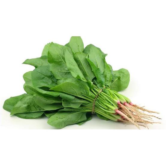 Bayam Segar