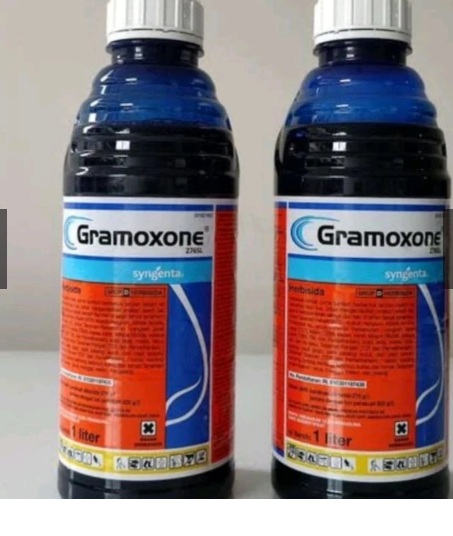 Gramoxon Pembasmi rumput