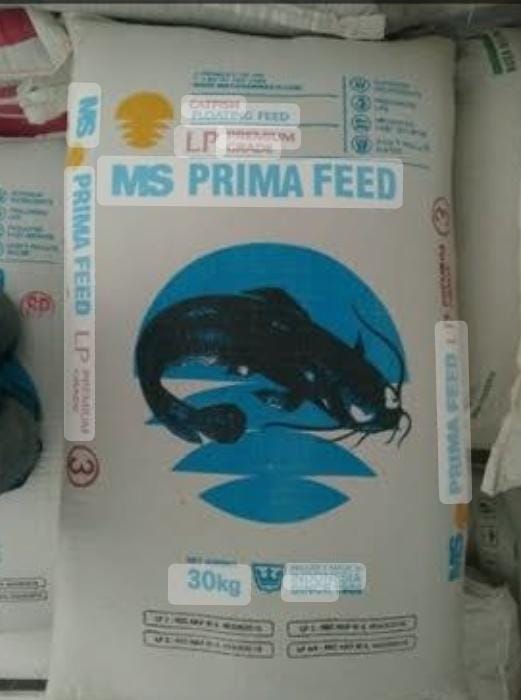 PAKAN IKAN PL3