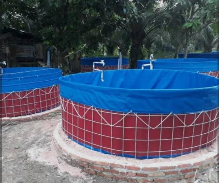 kolam terpal bundar 