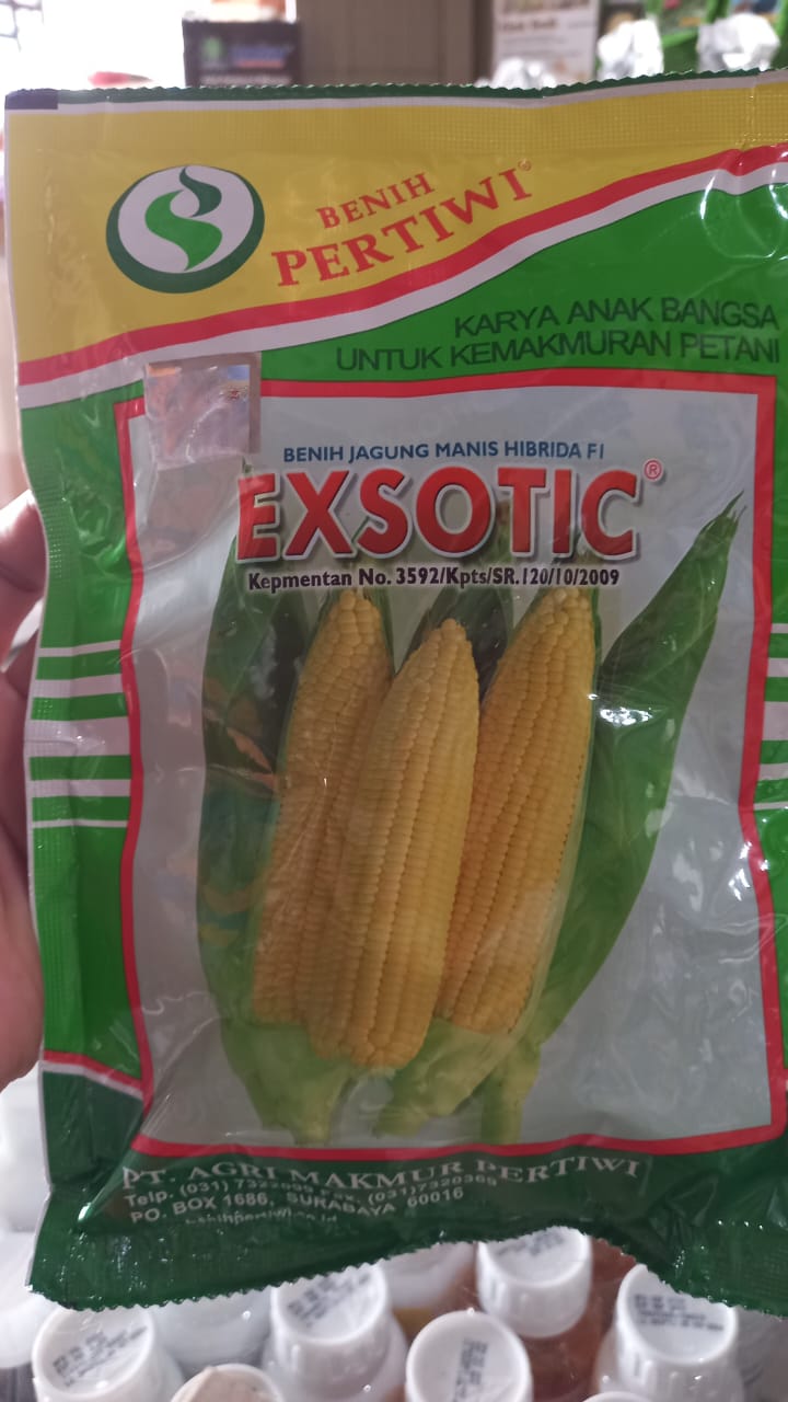 exsotic