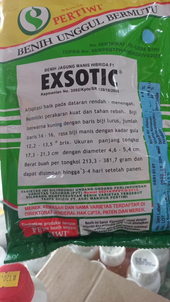 exsotic