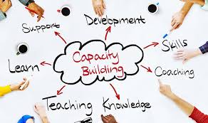PENGEMBANGAN KAPASITAS / CAPACITY BUILDING / PELATIHAN TIM