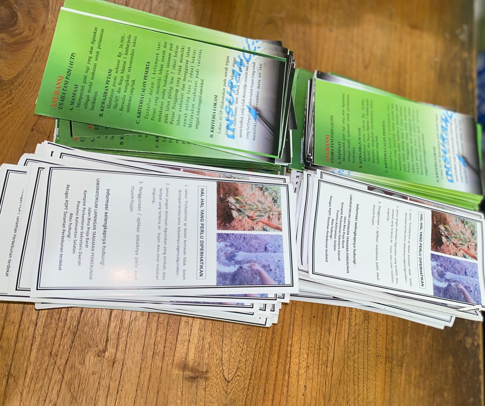 leaflet