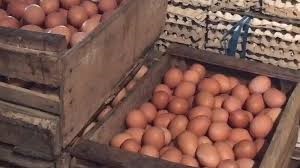 Telur Ayam 