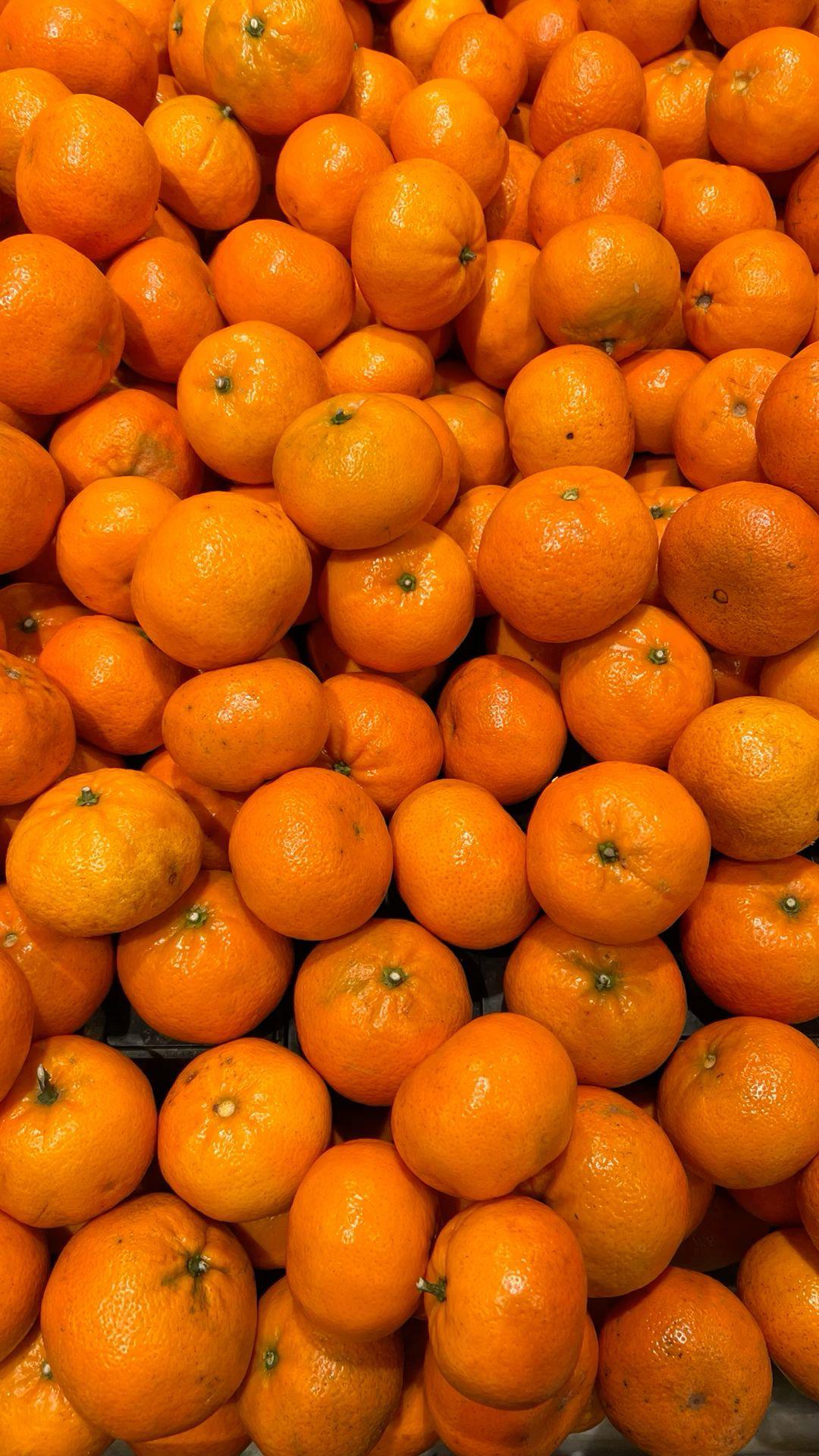 Jeruk Mandarin