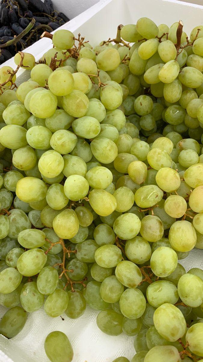 Buah Anggur Hijau
