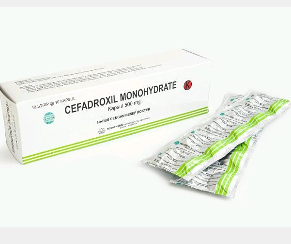 antibiotik setara cefadroksil