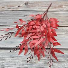 Daun Hias 