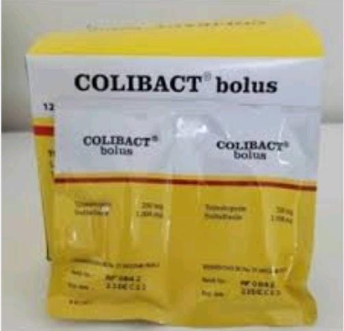 coliibact bollus