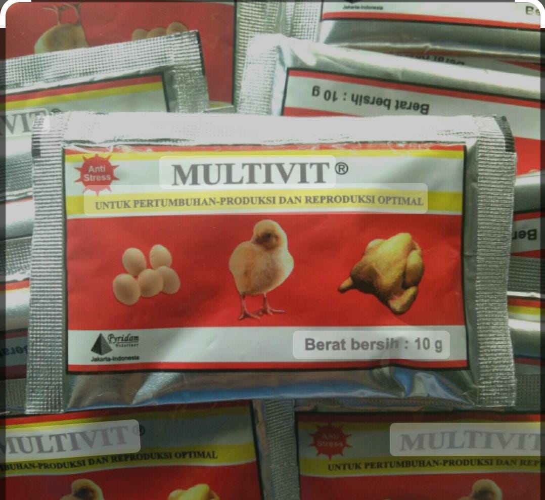 multivitamin  setara multivit 10 gr