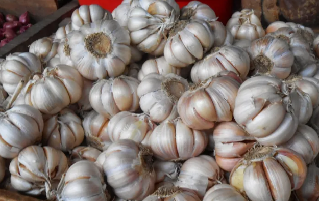 Bawang Putih