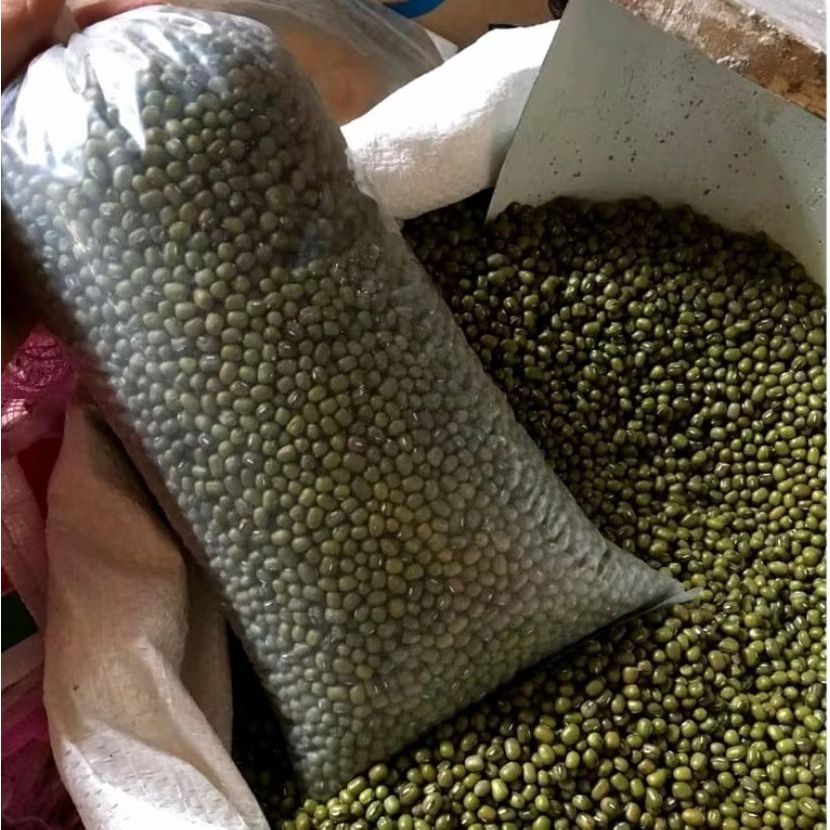 Kacang Hijau