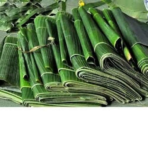 Daun Pisang