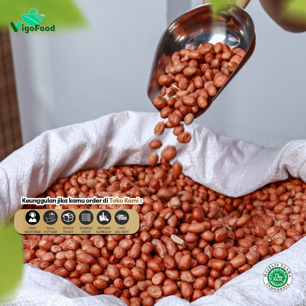 KACANG TANAH