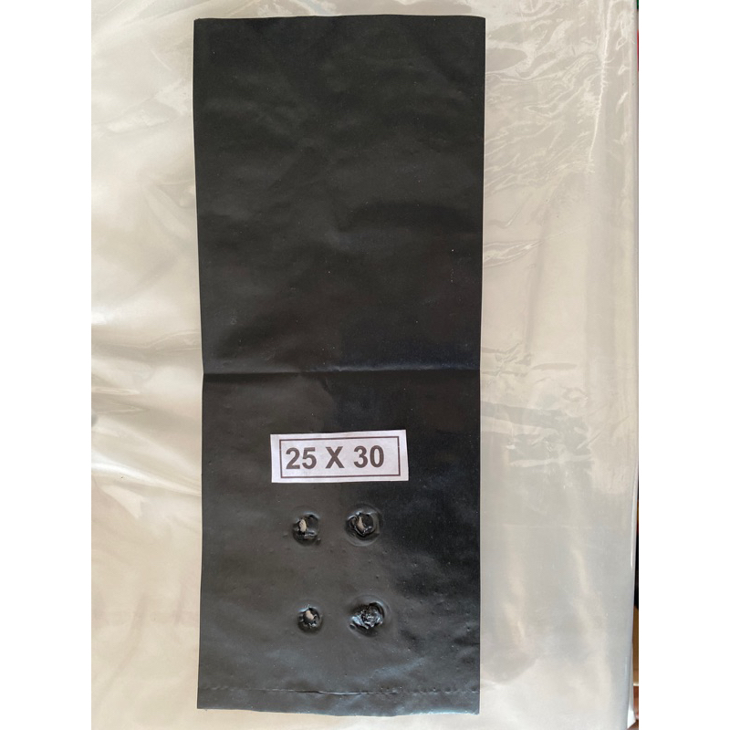 Polybag (25x30cm)