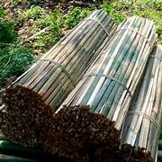 RIING PARING/BAMBU