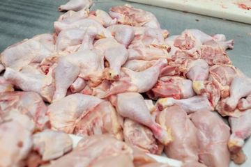 Ayam Potong