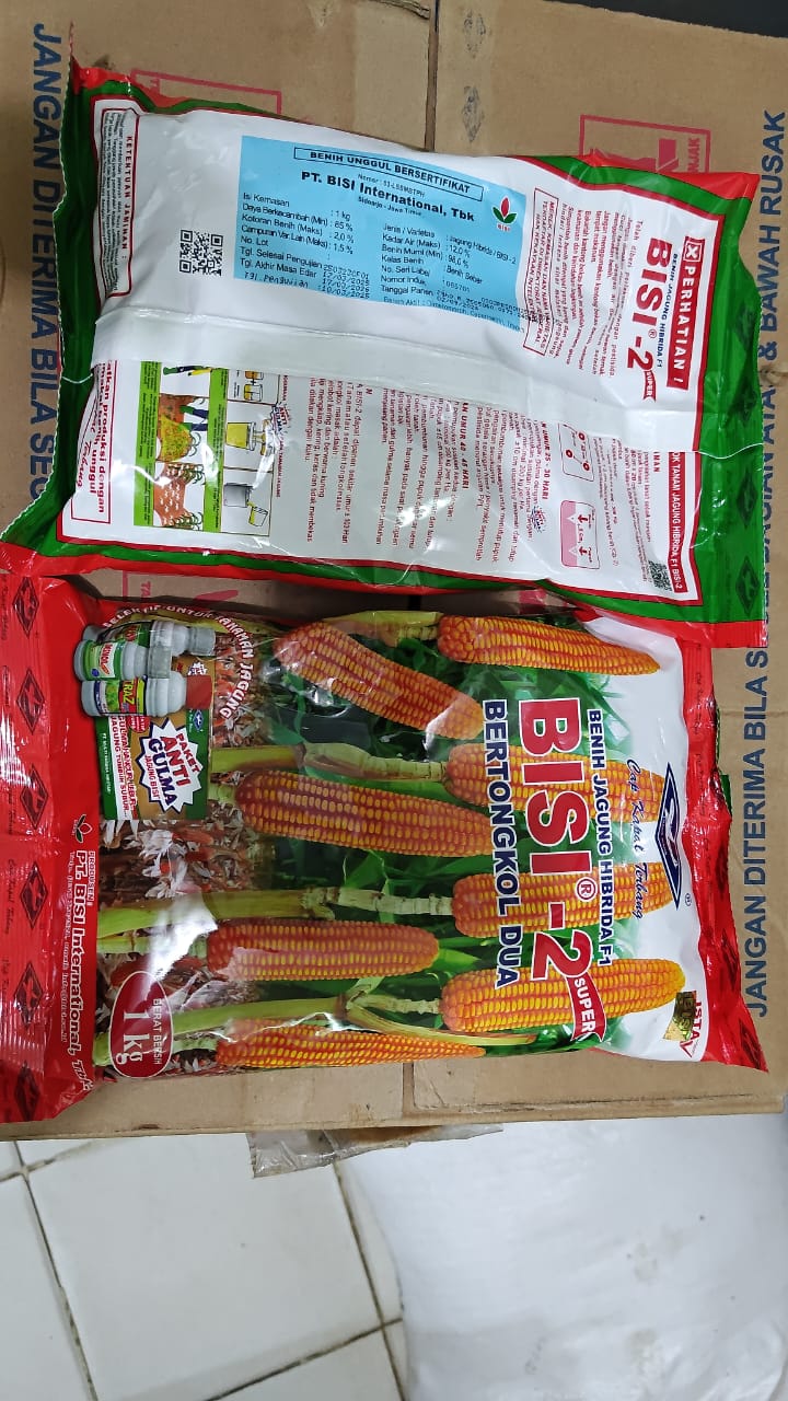 benih jagung pipil bisi 2