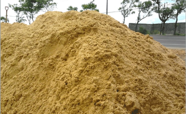 Pasir