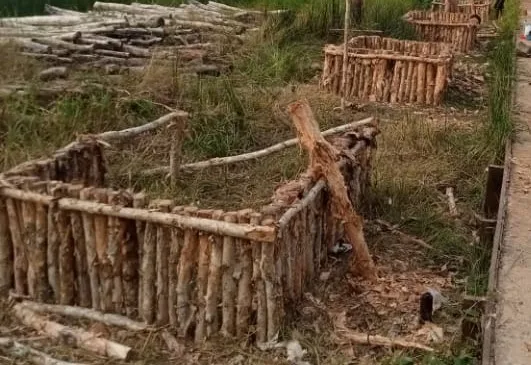 Kotak Kayu Media Tanam ( galam )