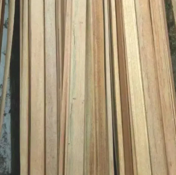 Papan Les