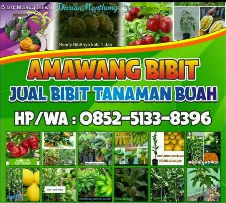 Spanduk Fronlite 440 gr Korcin Super Glossy