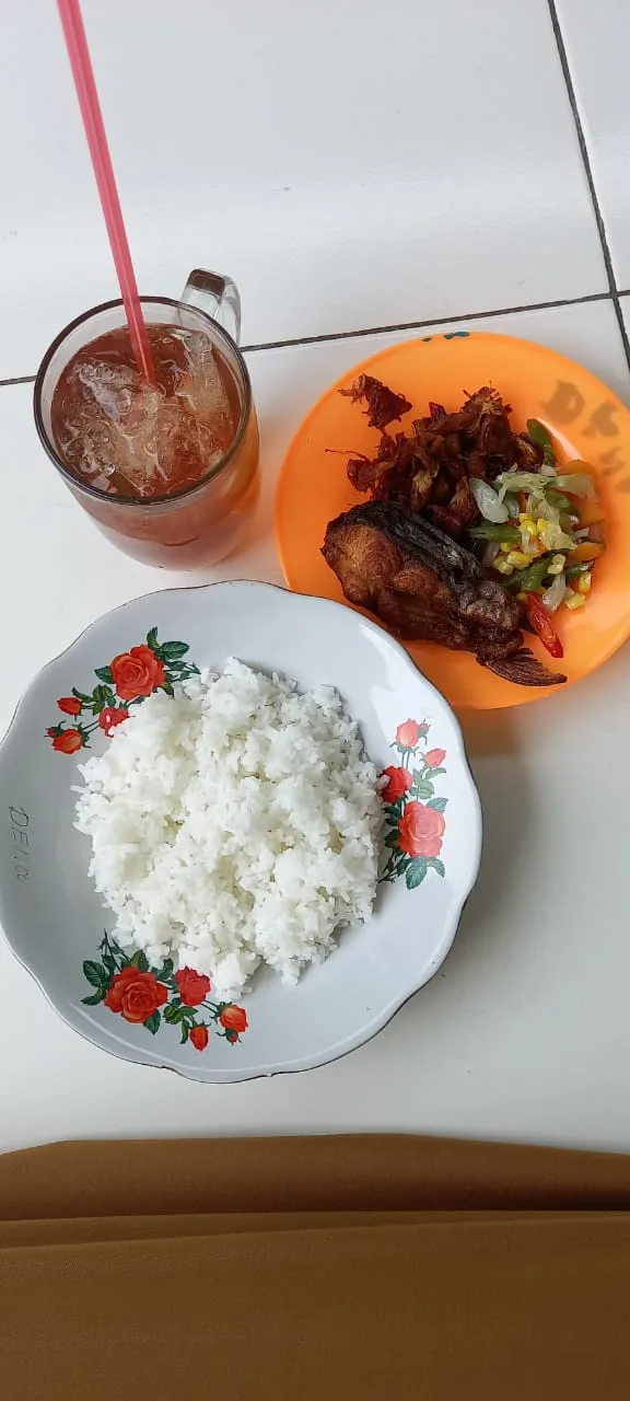 Paket nasi ikan goreng