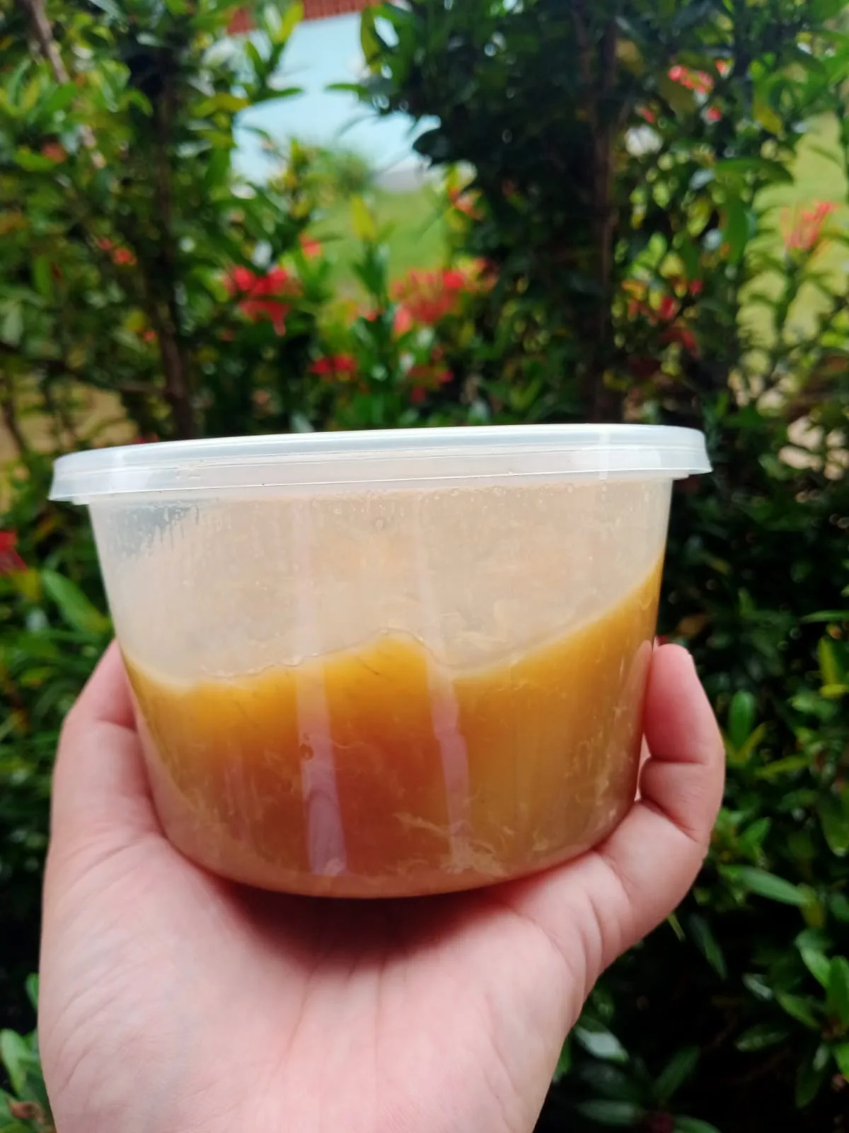 Kolak pisang + Satup Pisang