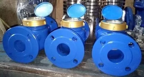 PENGADAAN WATER METER AMICO 2Inch LXSG-50 DAN JASA PEMASANGAN