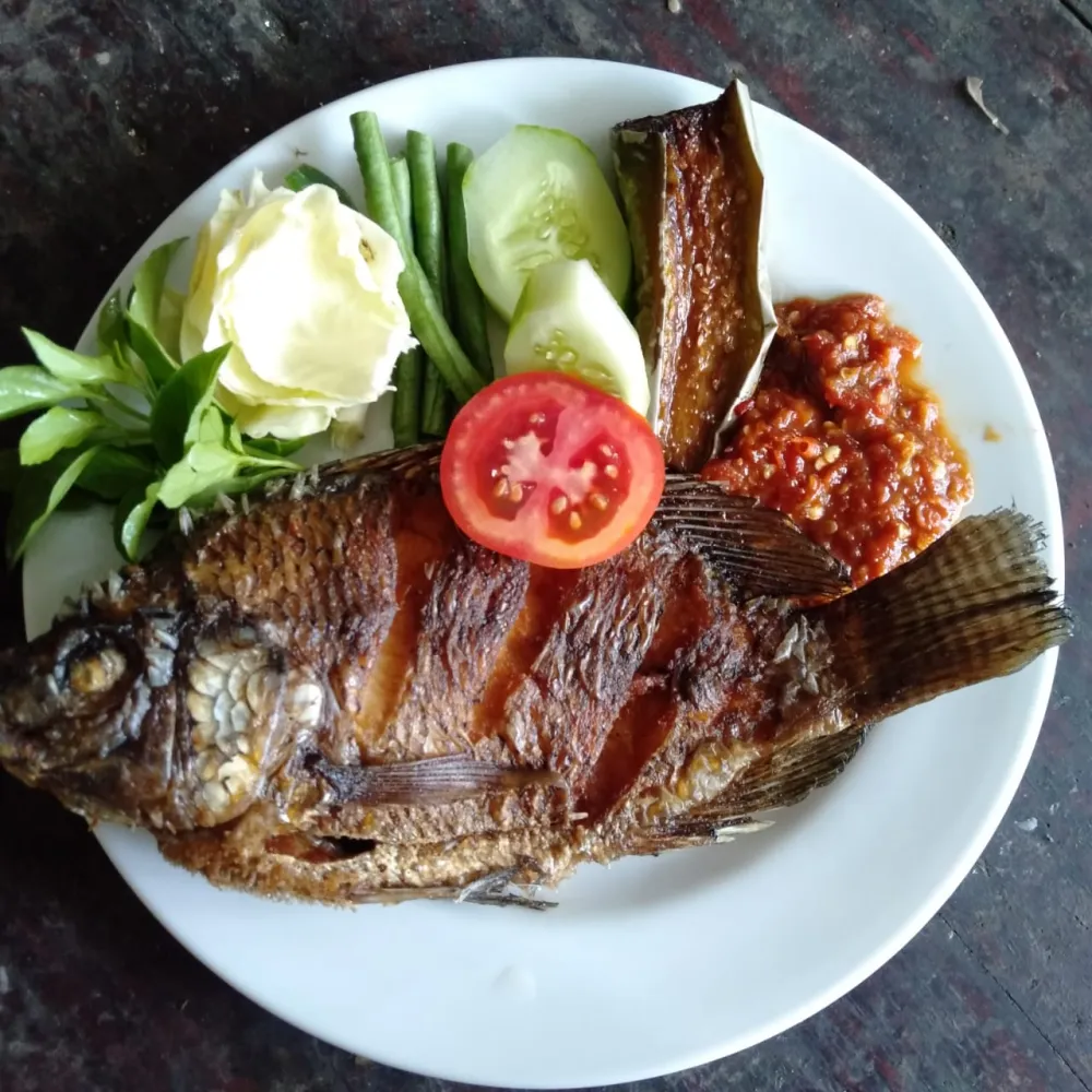 Paket Nasi + Ikan