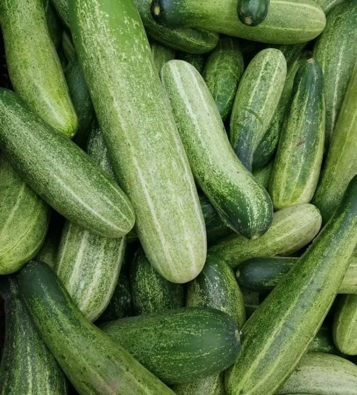 Timun