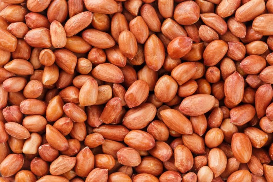 Kue Kering - Kacang
