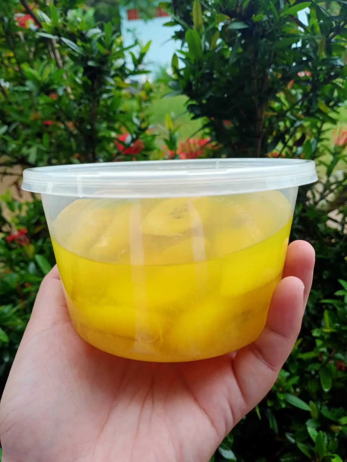 Kolak pisang + Satup Pisang