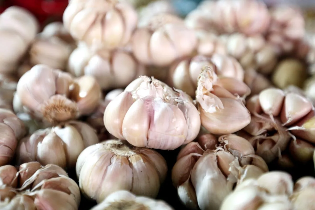 Bawang putih