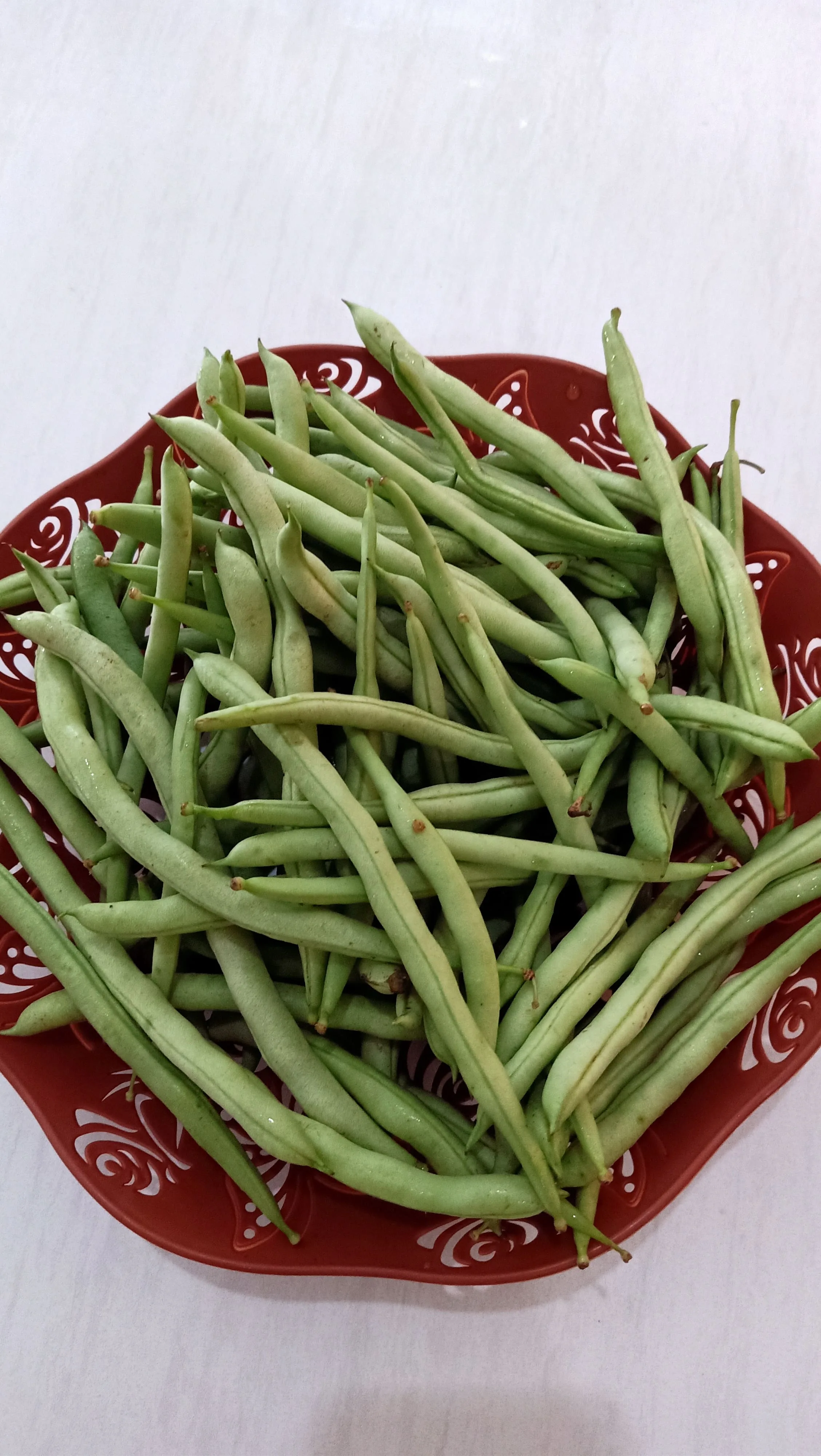 KACANG BUNCIS