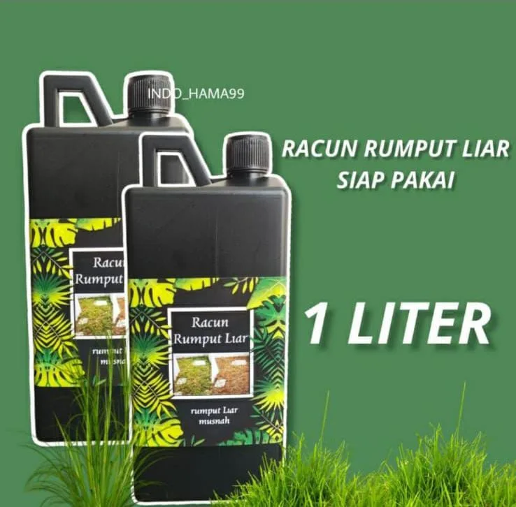 Racun rumput liar