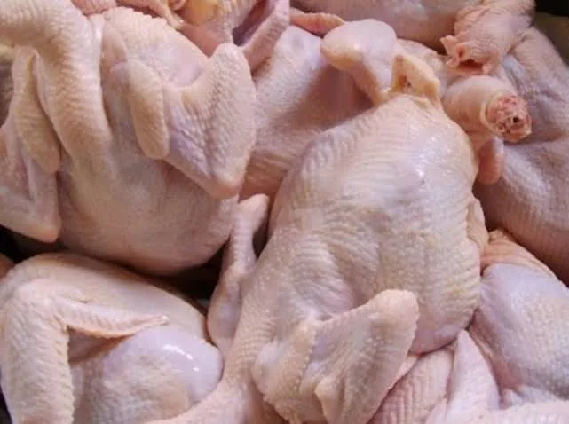 DAGING AYAM