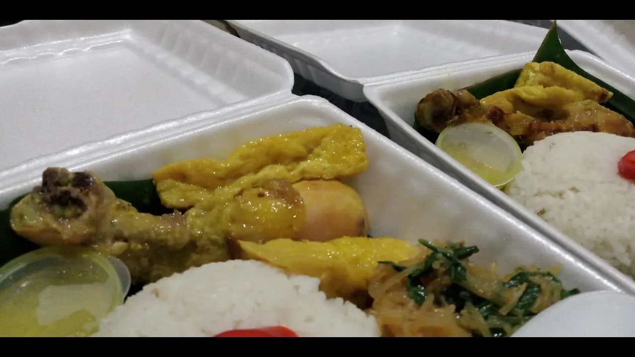 Nasi / Lontong Opor Ayam