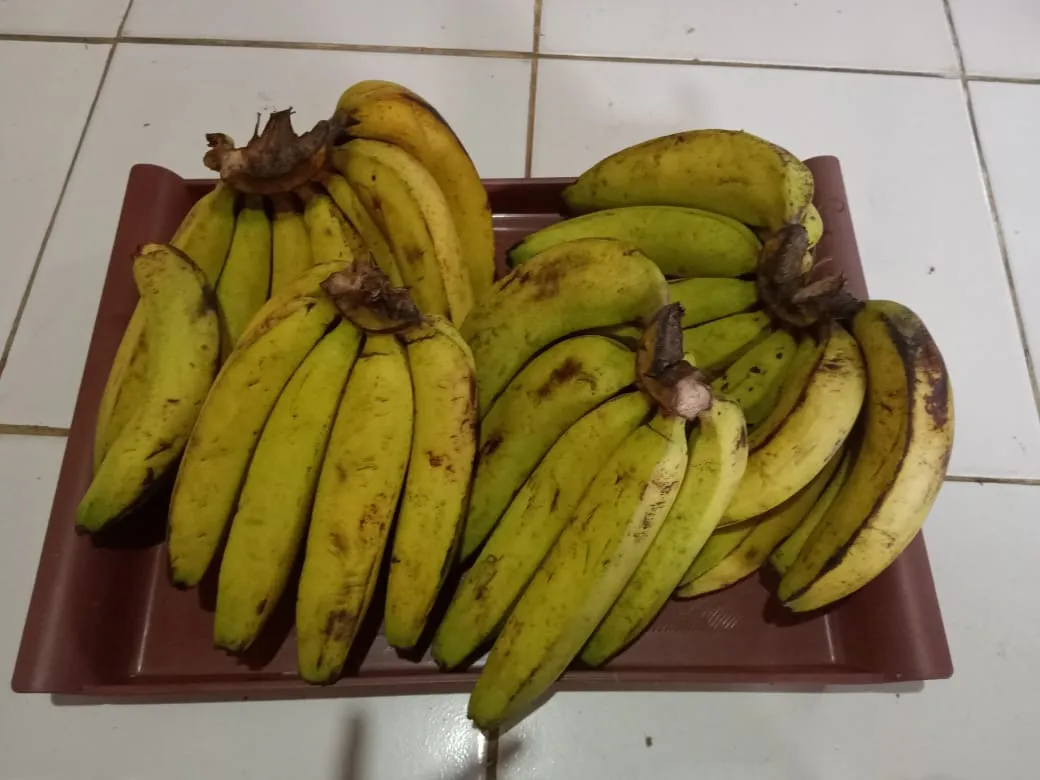 Pisang Ambon