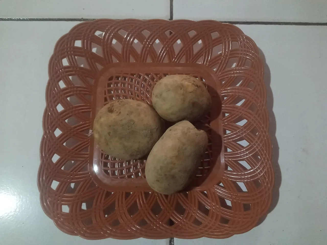 kentang