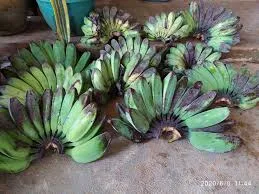 PISANG