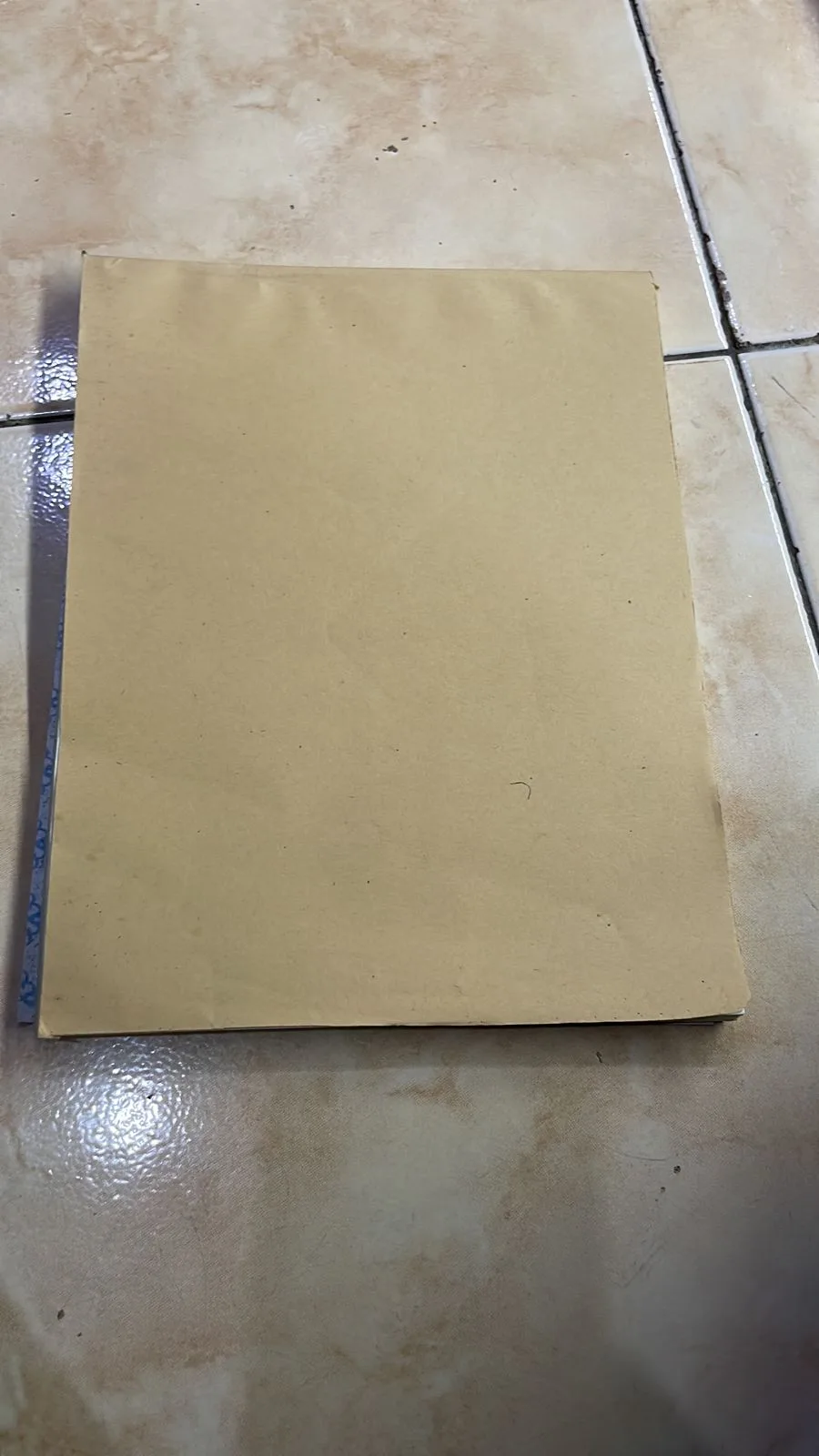 BLANKO LEMBAR DISPOSISI/BUKU