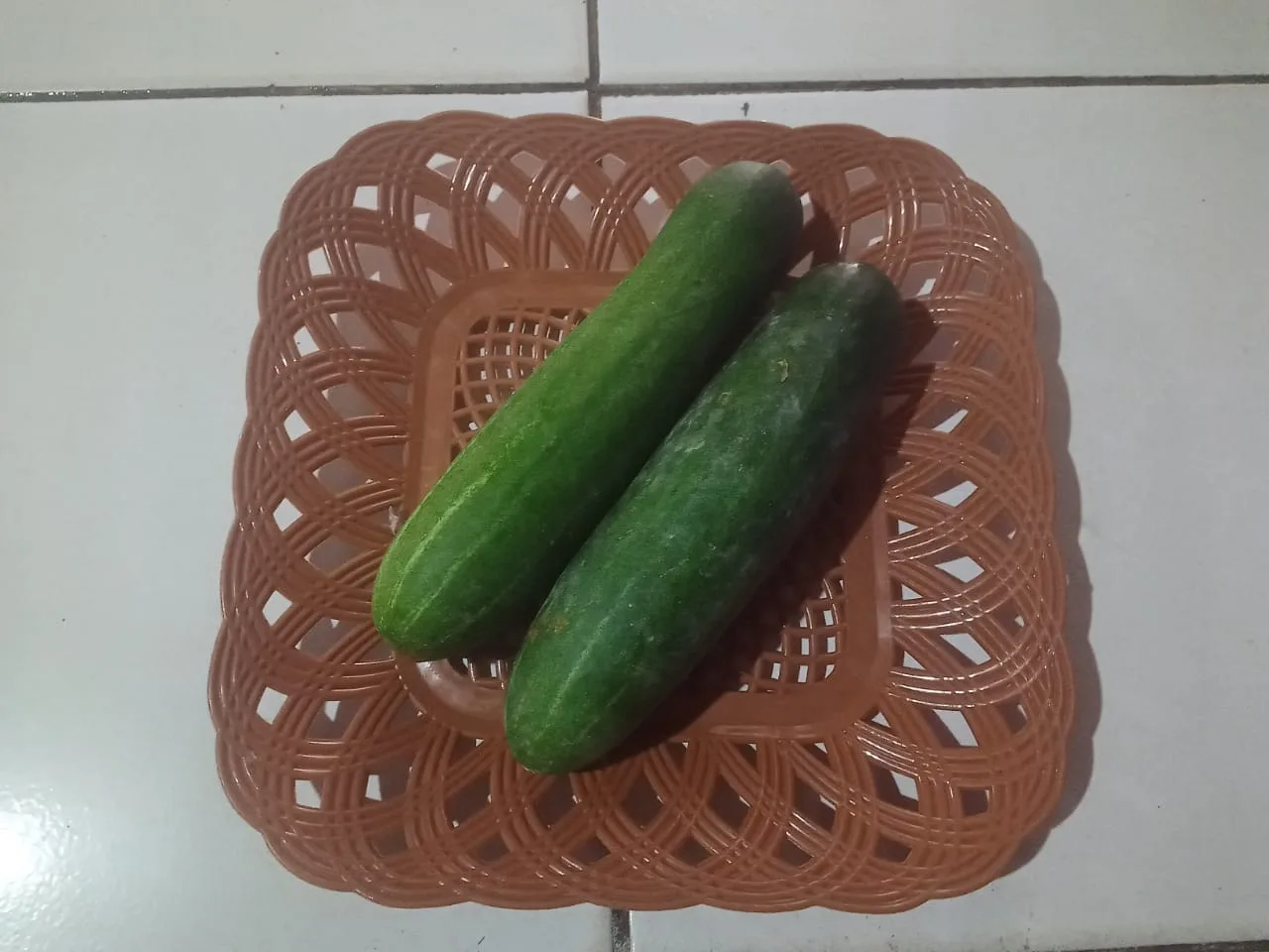 timun