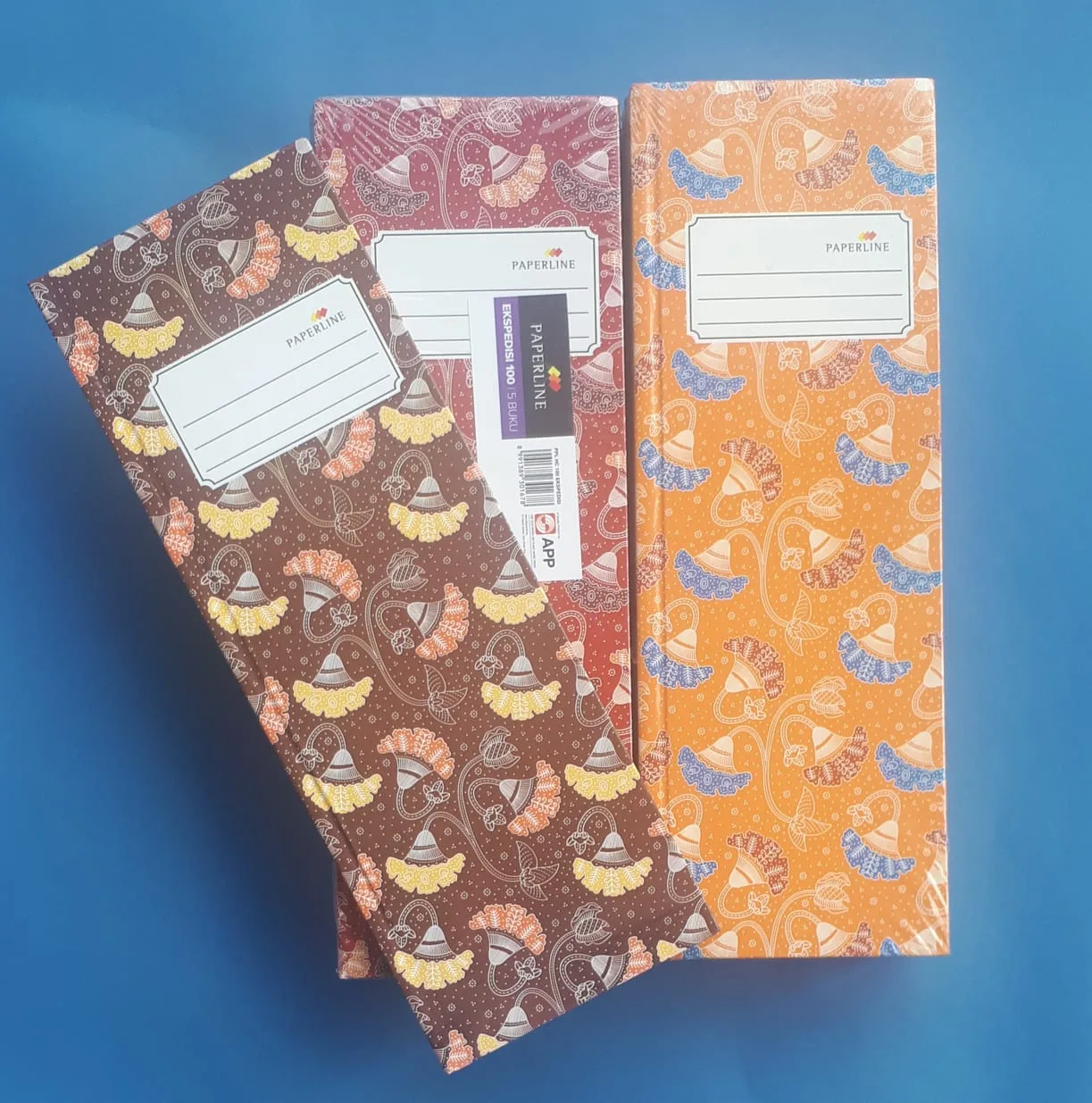 BUKU PAPERLINE EKSPEDISI 100