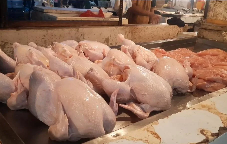AYAM