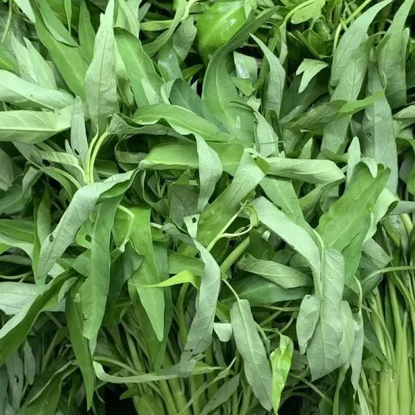 KANGKUNG