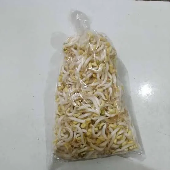 KECAMBAH (TOGE)