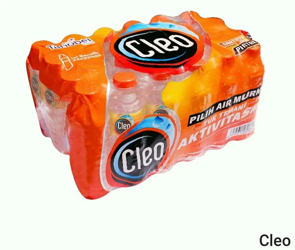 CLEO MINI
